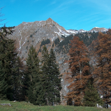 25 Im Herbst 2009 im Allgäu